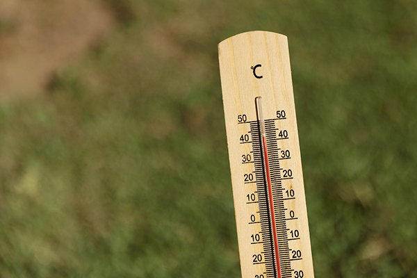 Qué bebidas consumir durante las olas de calor